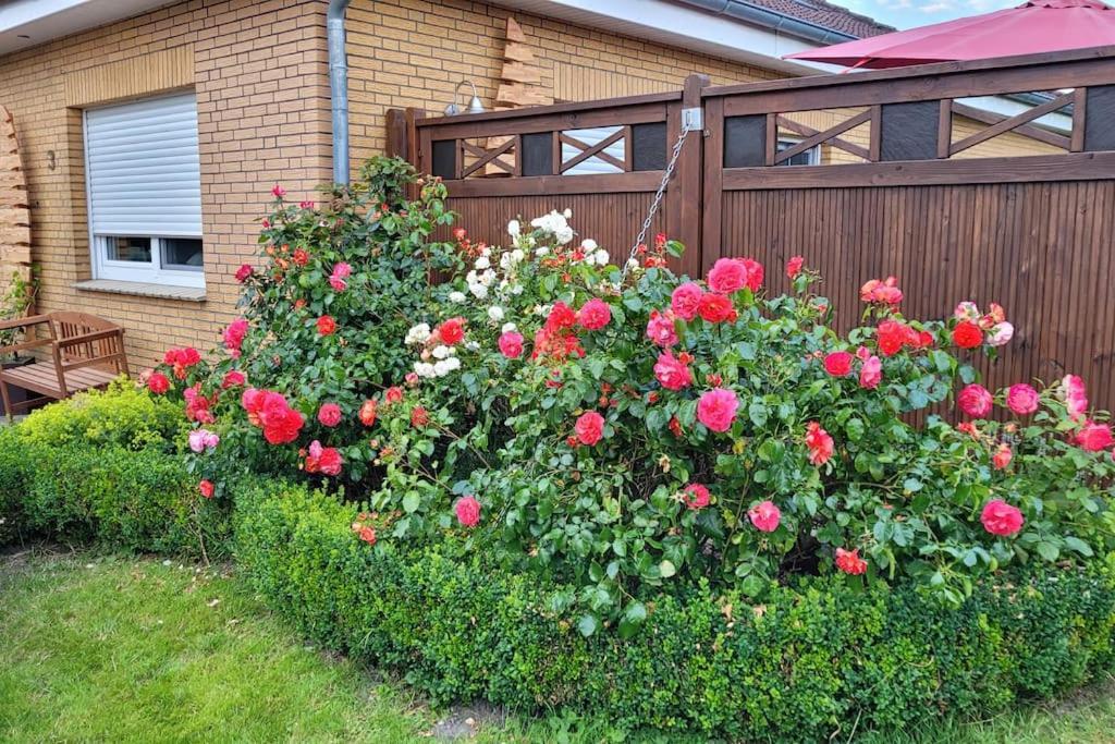 Fh Ostfriesland To Huus, Zw. Emden Und Greetsiel Villa Hinte Luaran gambar